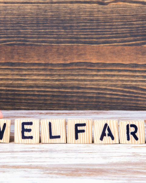 Welfare aziendale