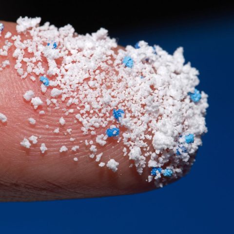 Microplastiche