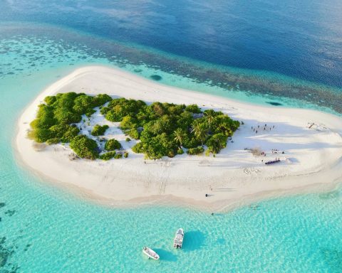 Maldive sabbia canva