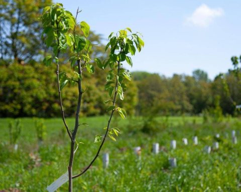 Energia green, solidarietà e rigenerazione, 293 progetti di Csr