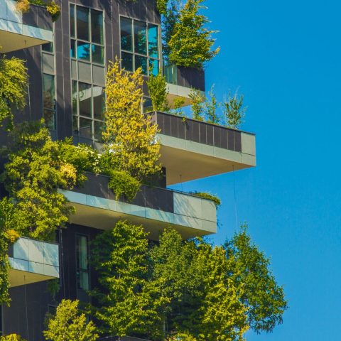 Bosco verticale milano canva
