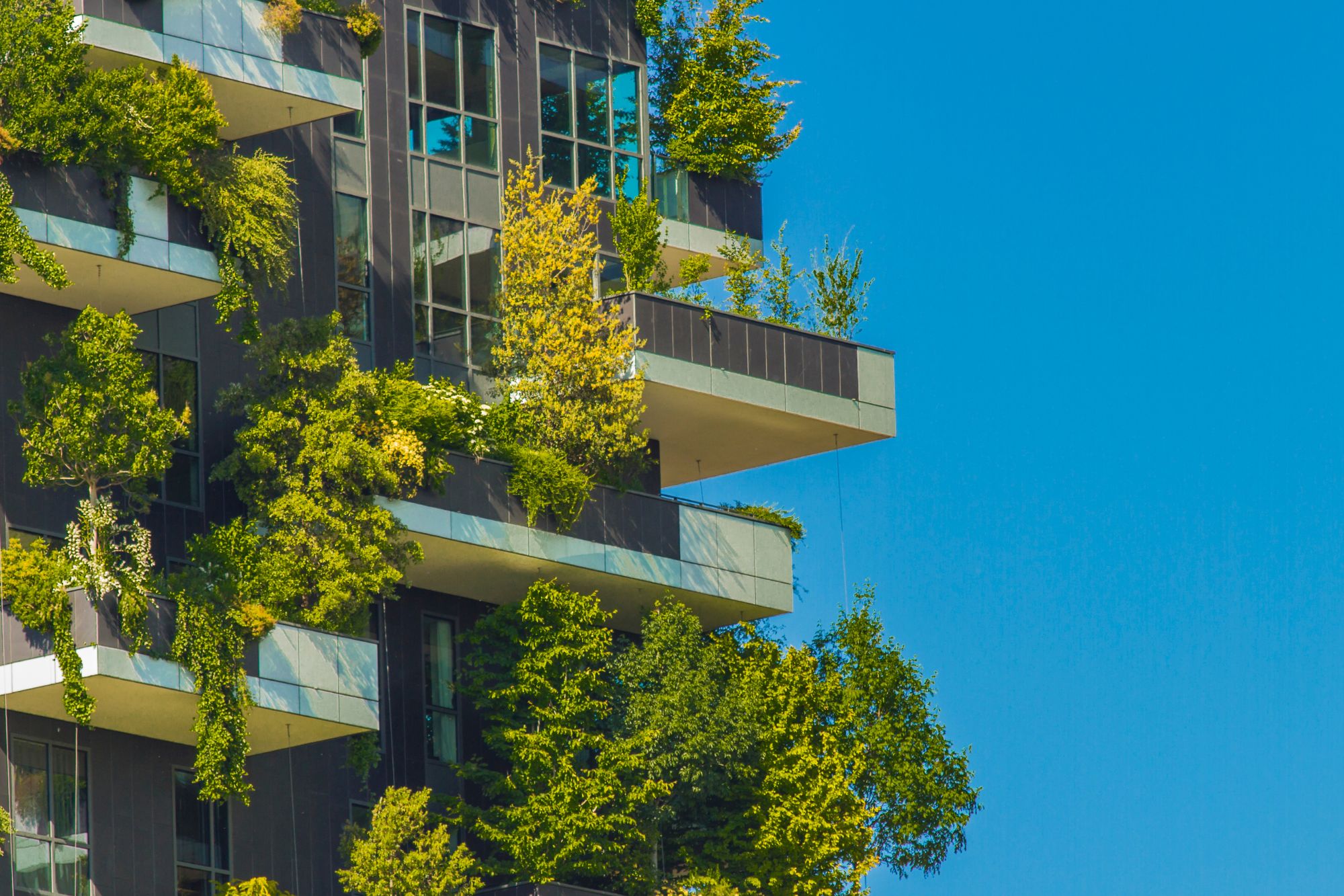 Bosco verticale milano canva