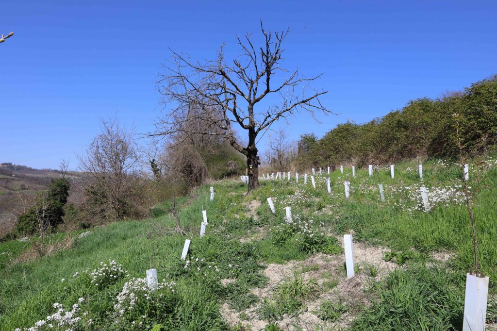 Oasi biodiversità pavia us