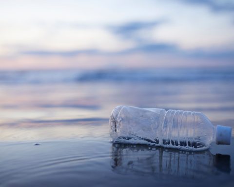 Bottiglia di plastica in spiaggia a mare - Canva