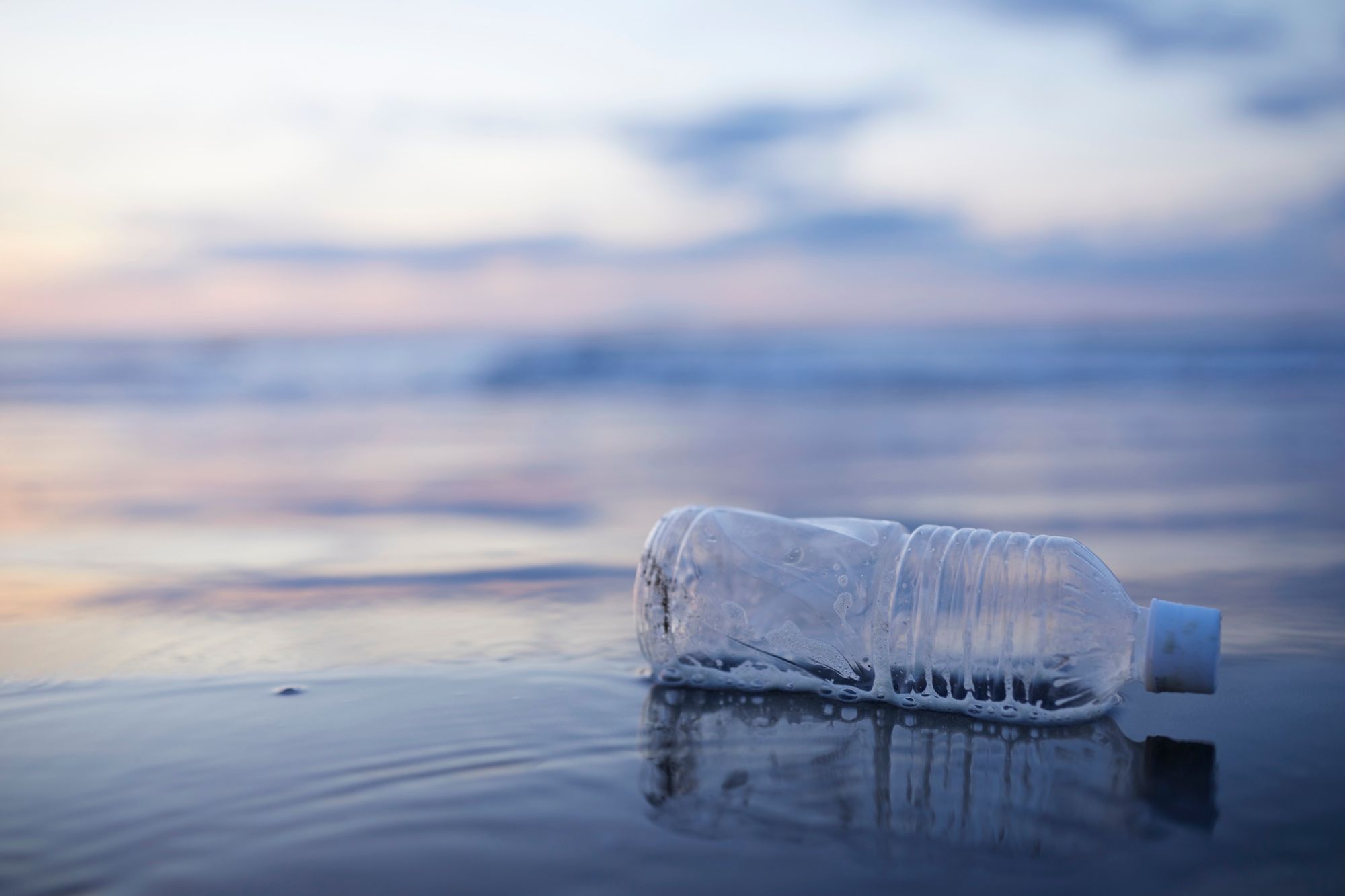 Bottiglia di plastica in spiaggia a mare - Canva