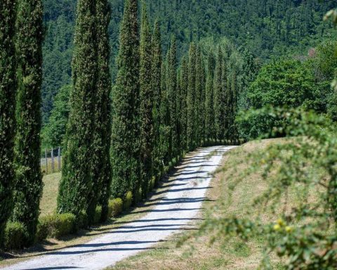 Sostenibilità, tenuta Acqua Panna habitat ideale di 121 specie di vertebrati e piante