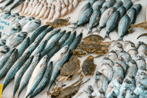 Banco pesce canva