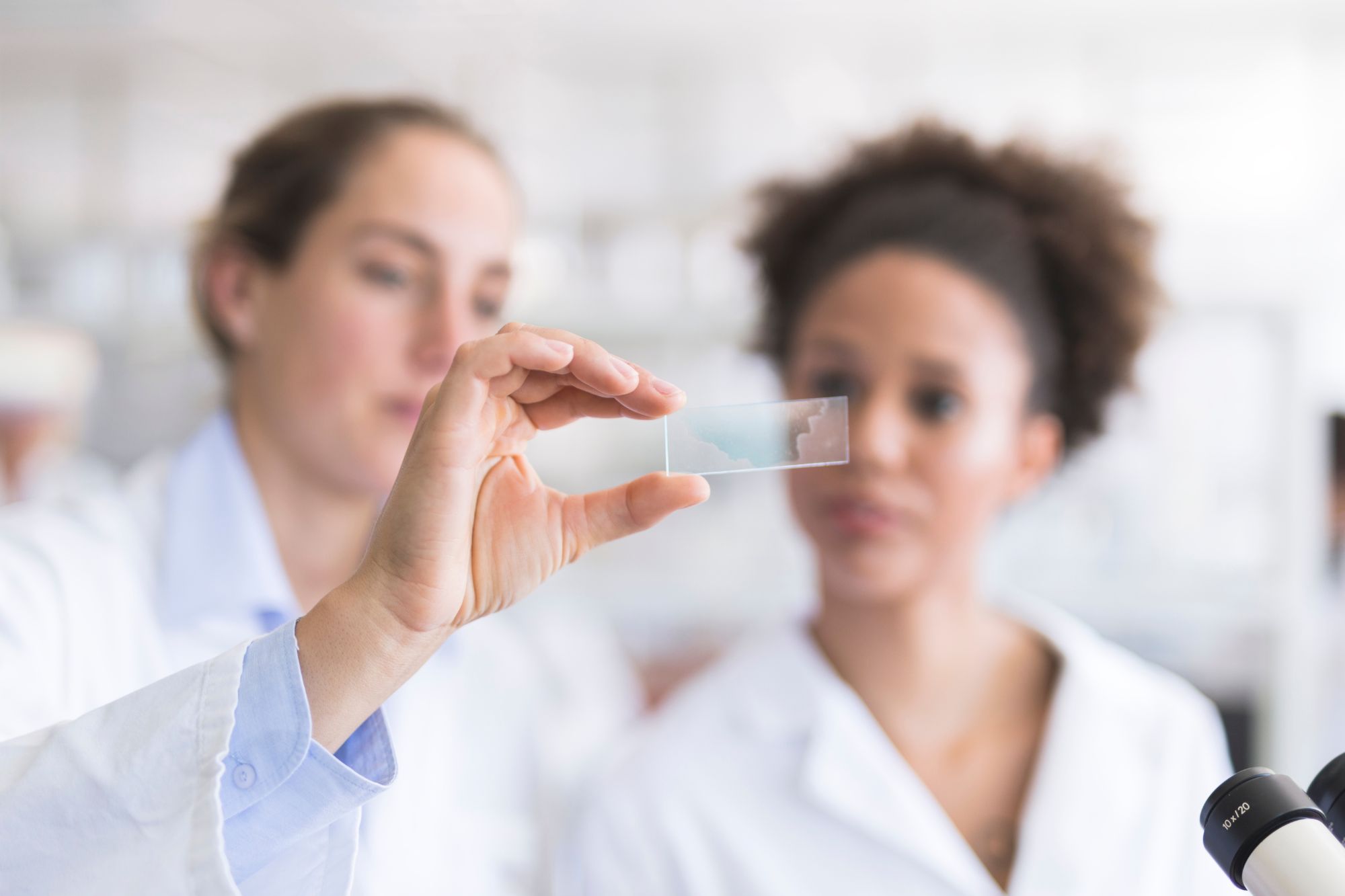 Donne scienza canva