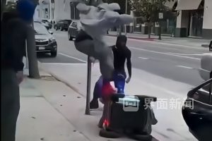 aggressioni contro robot da consegna negli usa