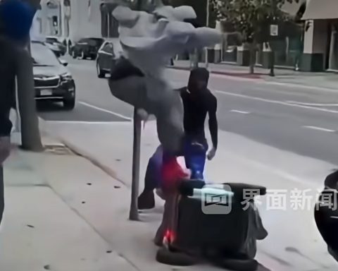 aggressioni contro robot da consegna negli usa