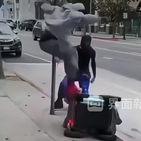 aggressioni contro robot da consegna negli usa
