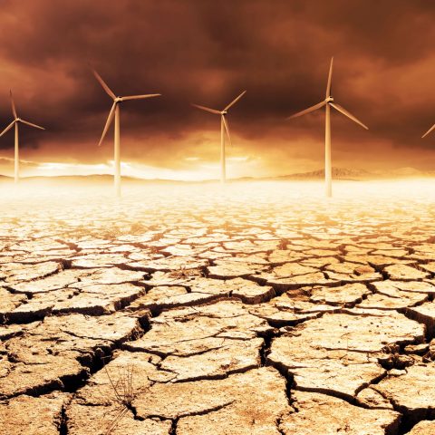 Cambiamento climatico risoluzione ONU storyb