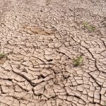 Siccita africa intelligenza artificiale canva