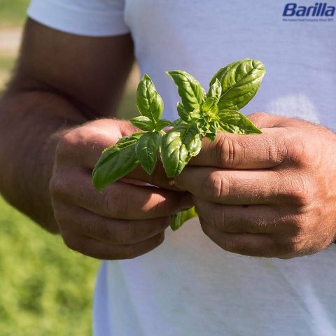 Barilla, nel Rapporto di Sostenibilità le 'storie' di un impegno a favore di ambiente e comunità