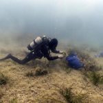 Findus rafforza l'impegno per la tutela del mare, lotta a plastiche e ripristino posidonia oceanica