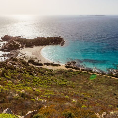 Punta Molentis, Sardegna (Canva)