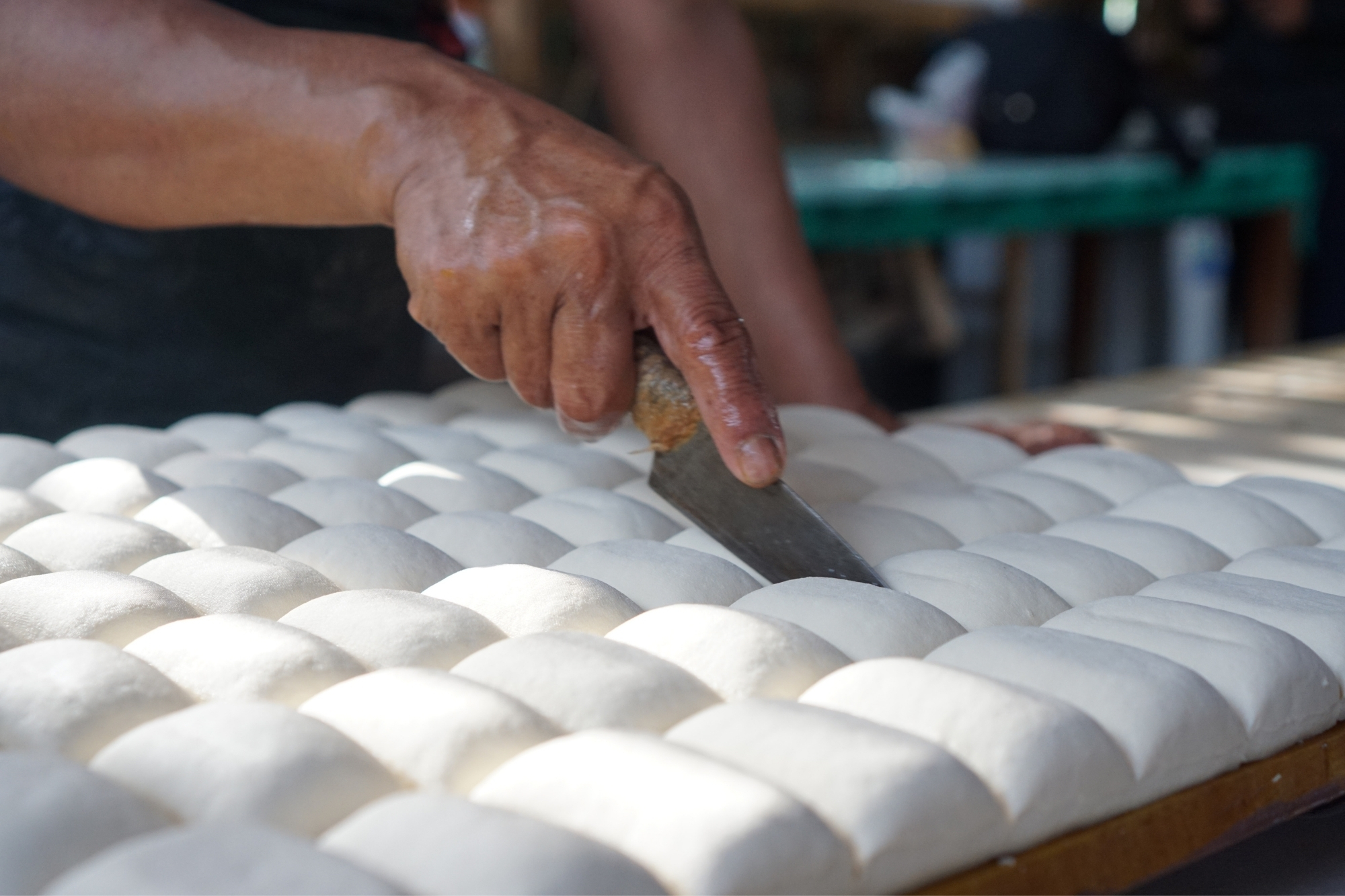 Produzione tofu canva