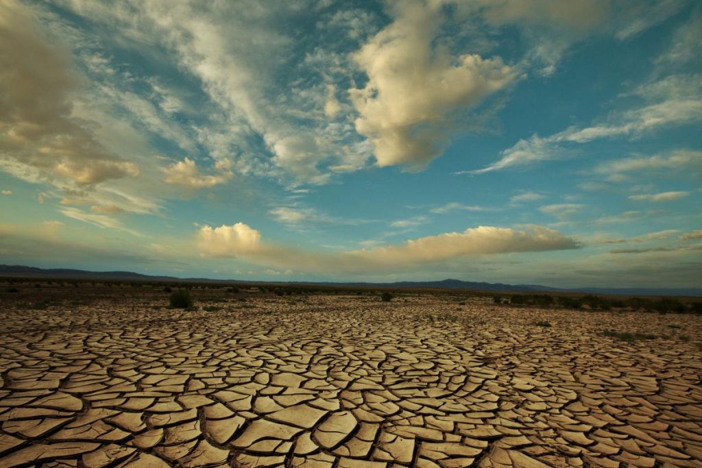 Il ricercatore del Cnr: "Tra clima e consumo del suolo in Italia è allarme biodiversità"