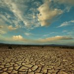 Il ricercatore del Cnr: "Tra clima e consumo del suolo in Italia è allarme biodiversità"