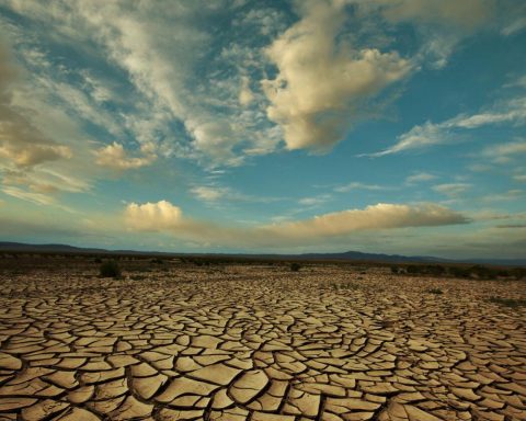 Il ricercatore del Cnr: "Tra clima e consumo del suolo in Italia è allarme biodiversità"