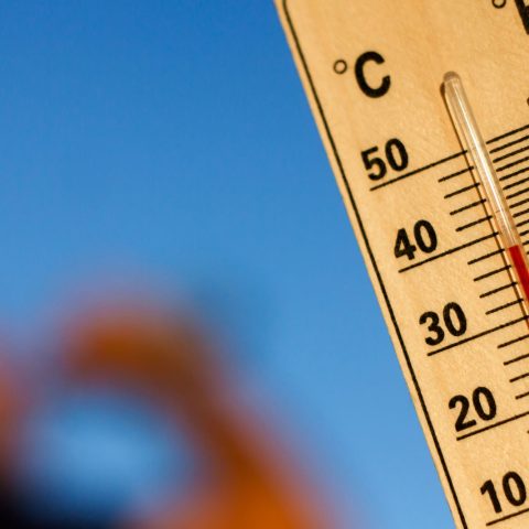 Temperature Caldo el nino canva