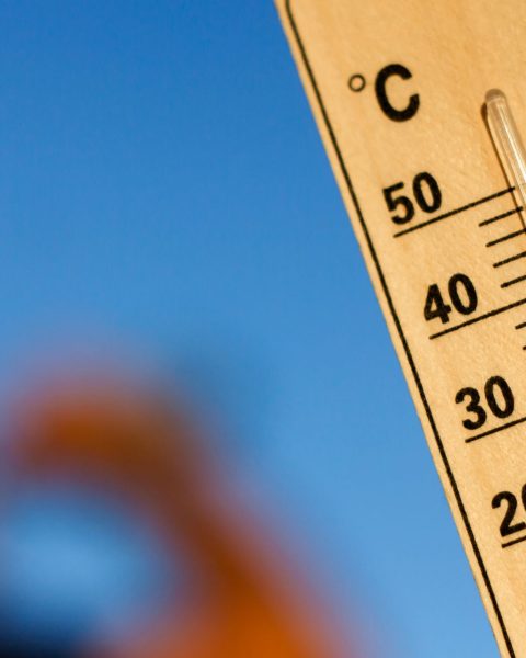 Temperature Caldo el nino canva