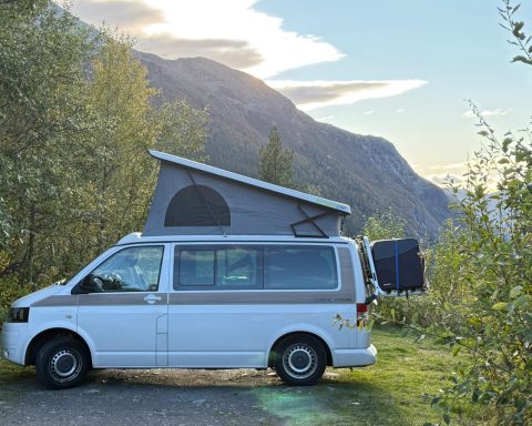 Camper svuota wc chimico in aiuola a como