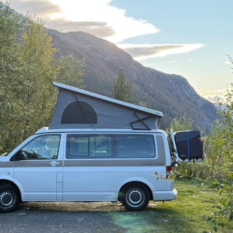 Camper svuota wc chimico in aiuola a como