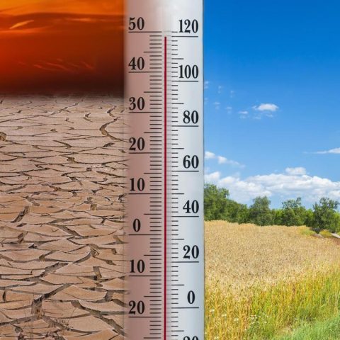 Climatologo: "Verso un'estate più calda della norma con precipitazioni violente"