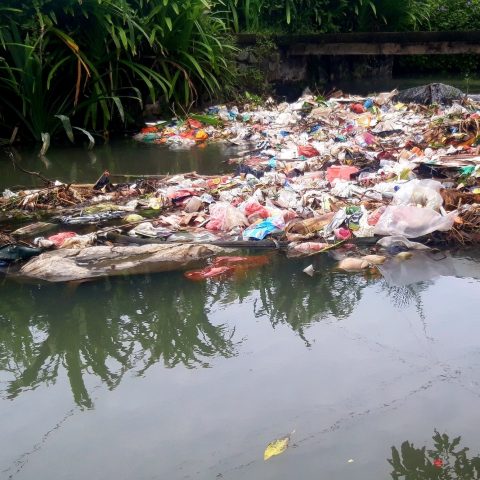 Fiume sporco rifiuti canva