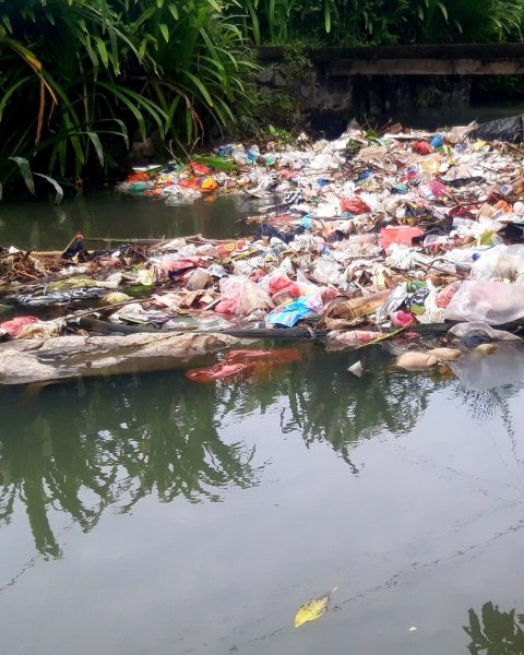 Fiume sporco rifiuti canva
