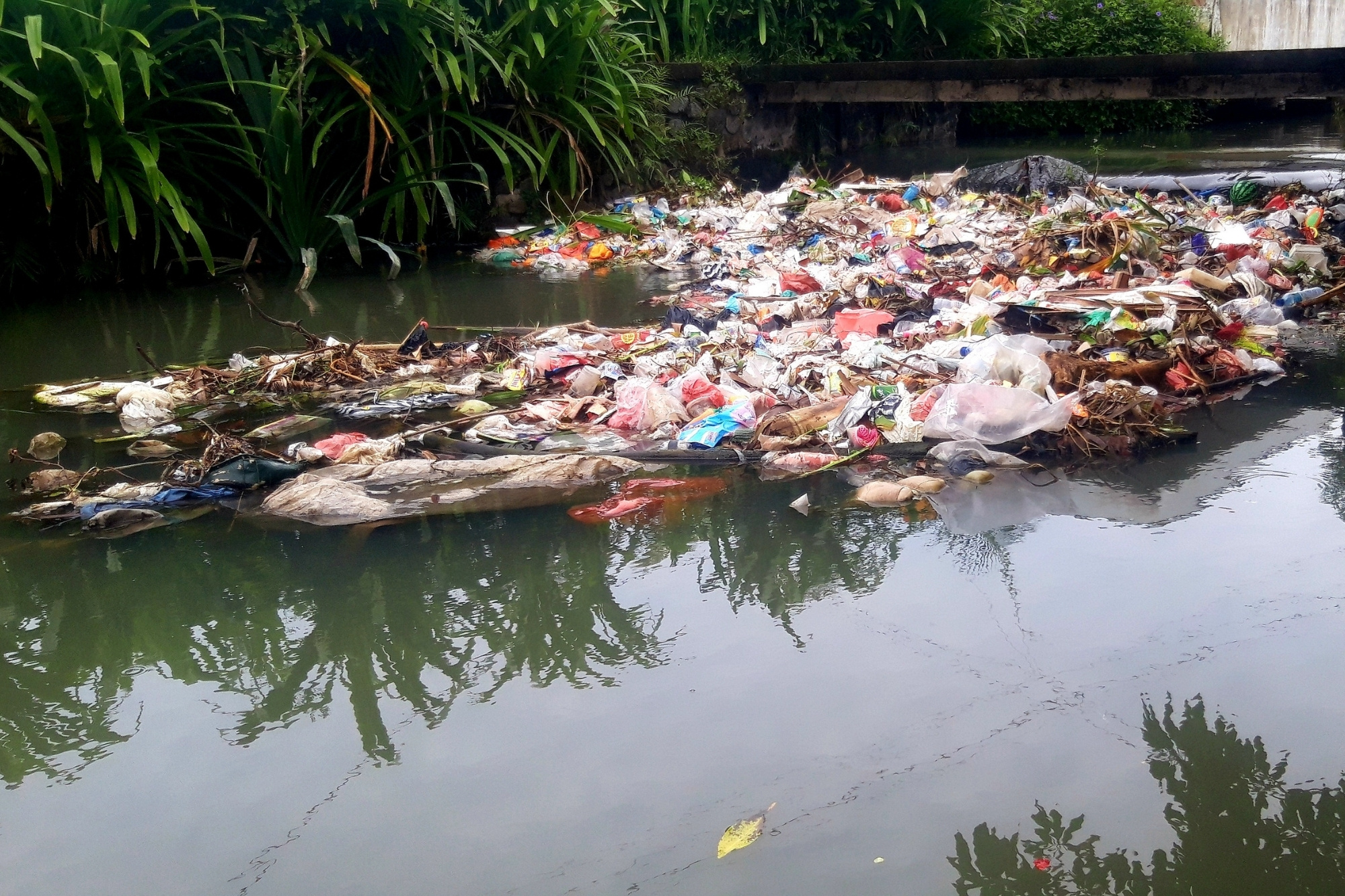 Fiume sporco rifiuti canva