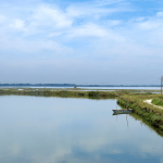 Delta po fiume