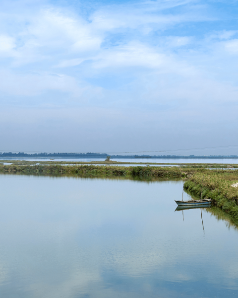Delta po fiume