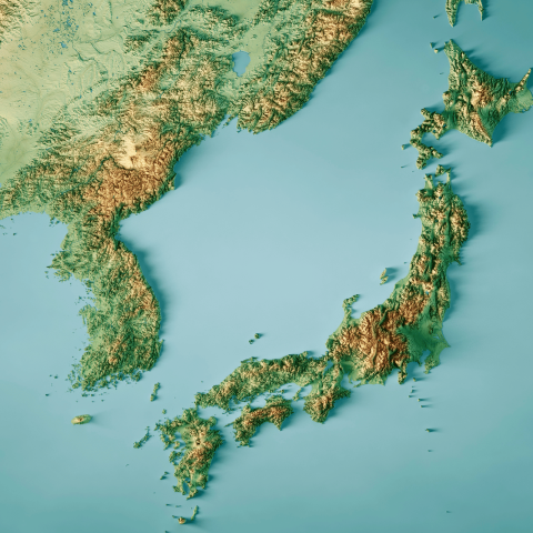 Giappone mappa topografica
