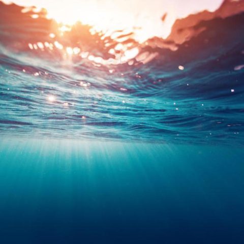 Clima, a giugno temperature globali del mare da record