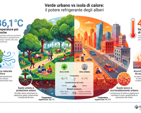 Isole di calore urbane, fino a 4°C con più alberi e suoli naturali