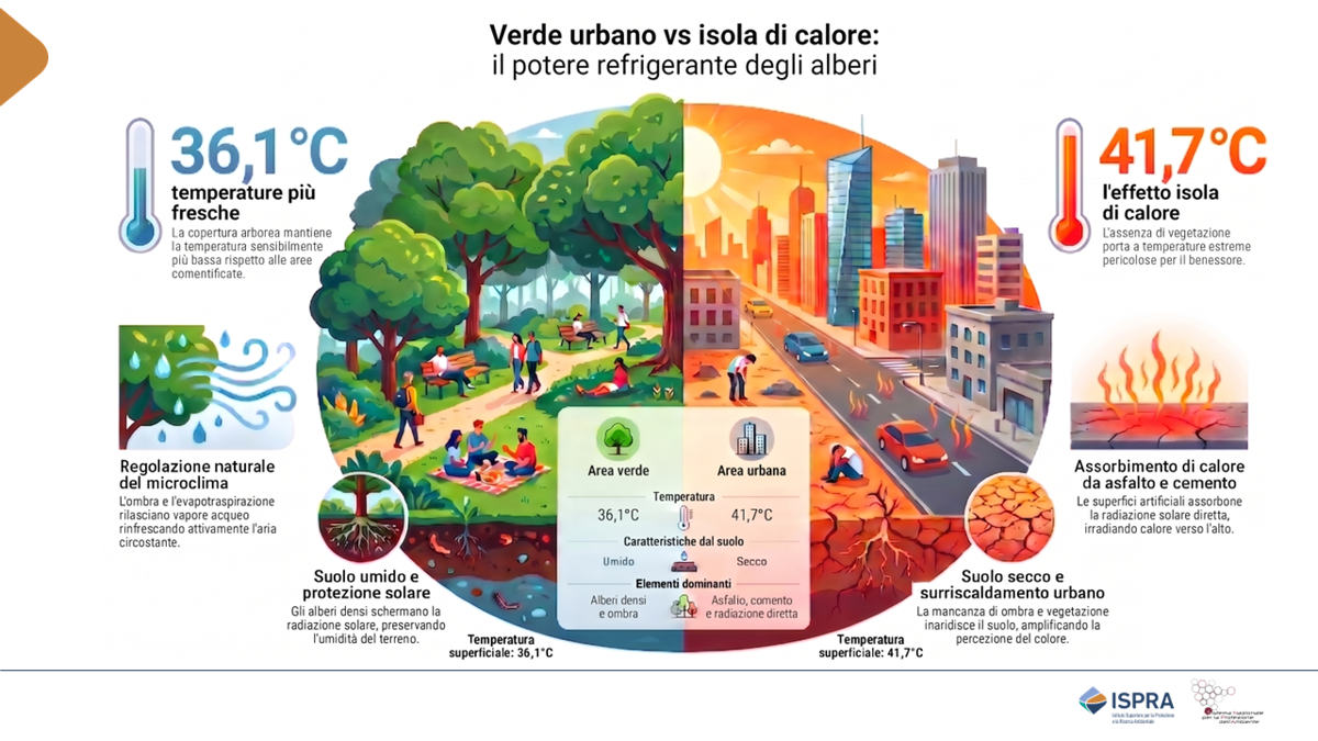 Isole di calore urbane, fino a 4°C con più alberi e suoli naturali
