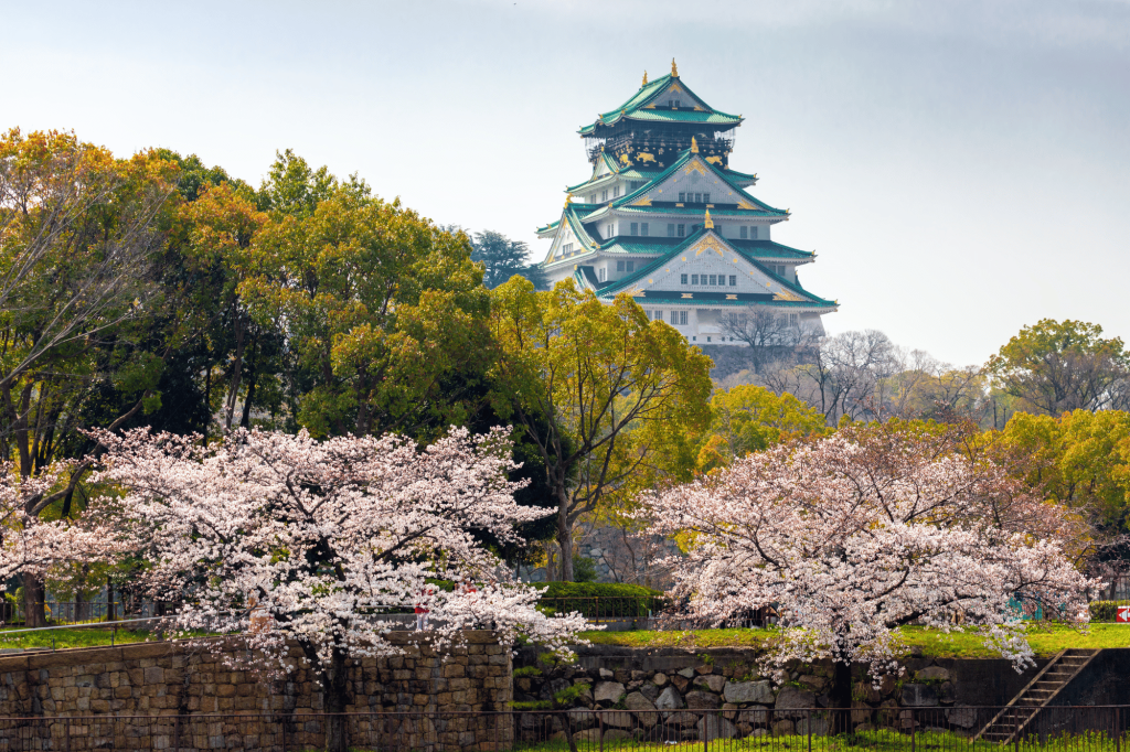 Osaka castello canva