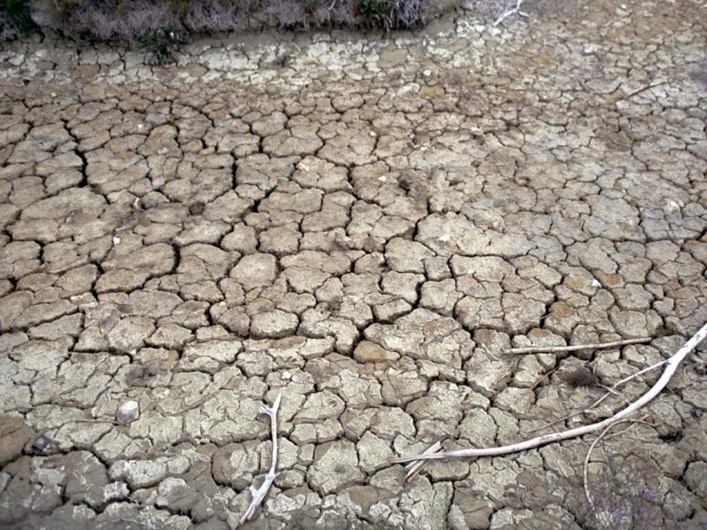 Siccità, allarme Anbi: verso emergenza idrica al Nord, fiumi dimezzati﻿