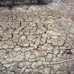 Siccità, allarme Anbi: verso emergenza idrica al Nord, fiumi dimezzati﻿