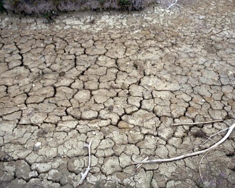 Siccità, allarme Anbi: verso emergenza idrica al Nord, fiumi dimezzati﻿