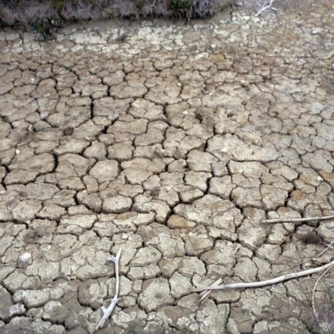 Siccità, allarme Anbi: verso emergenza idrica al Nord, fiumi dimezzati﻿