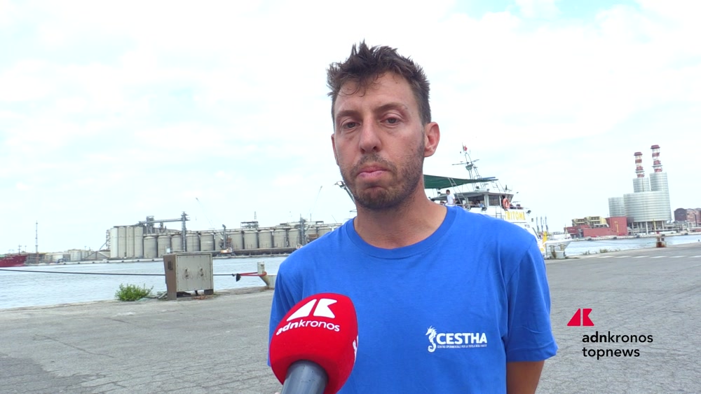 Ambiente, CESTHA: tre tartarughe marine tornano in libertà alla Festa della Cozza Selvaggia