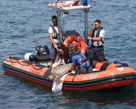 A Marina di Ravenna torna la 'Festa della cozza'
