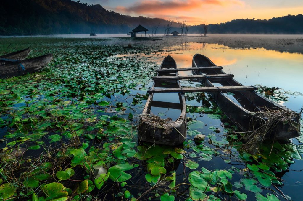 Bali crisi idrica canva