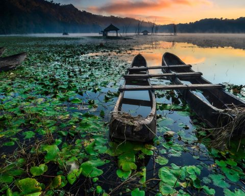 Bali crisi idrica canva