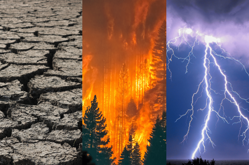 Siccità, incendi e tempeste