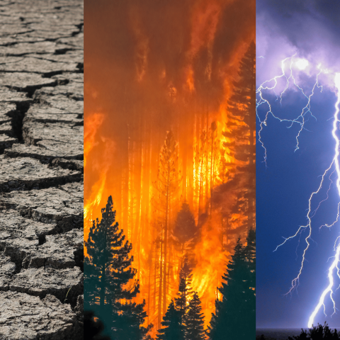 Siccità, incendi e tempeste