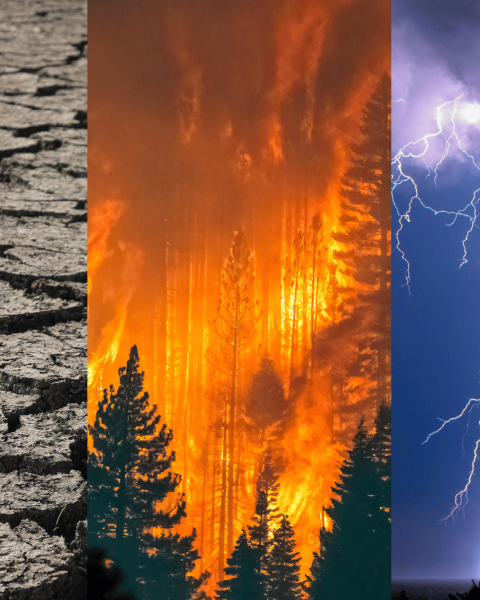Siccità, incendi e tempeste